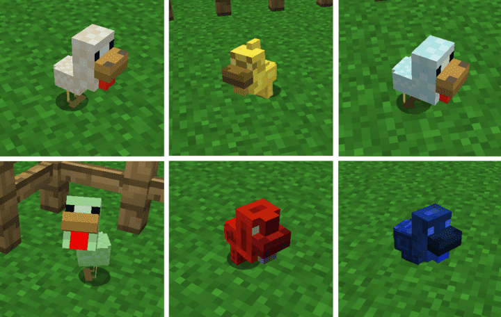 Ore Chickens