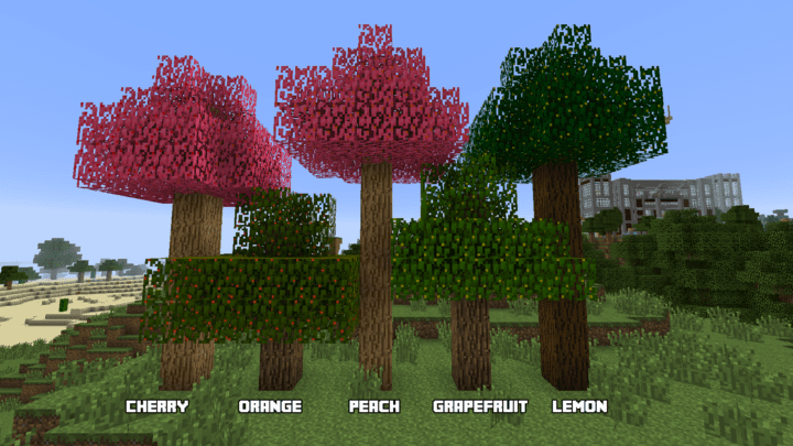 Trees