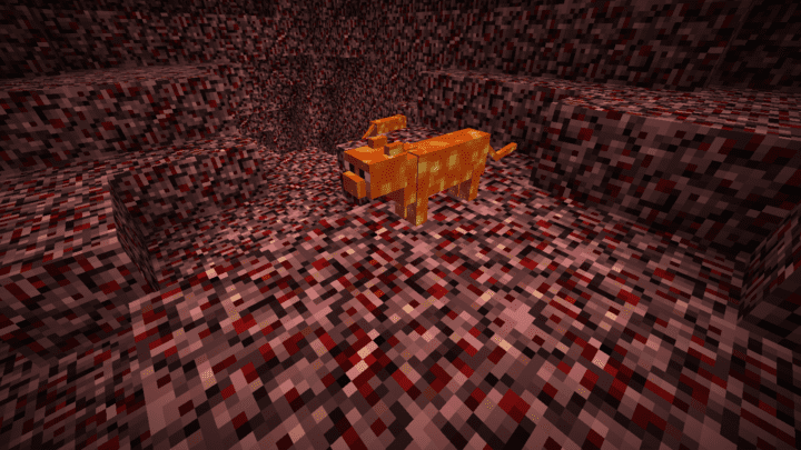 Minecraft lava cat from Mystical World Mod