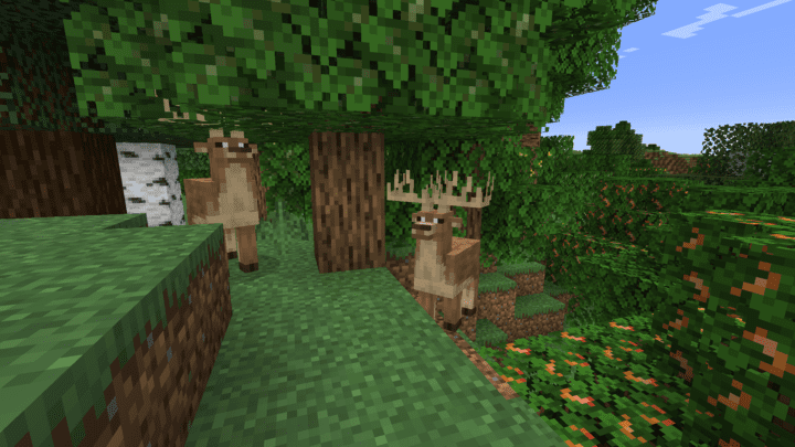 Deer‍ cautiously moving through ⁢the⁤ forest