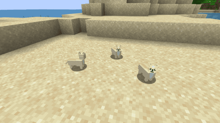 Minecraft Chihuahua in a desert biome