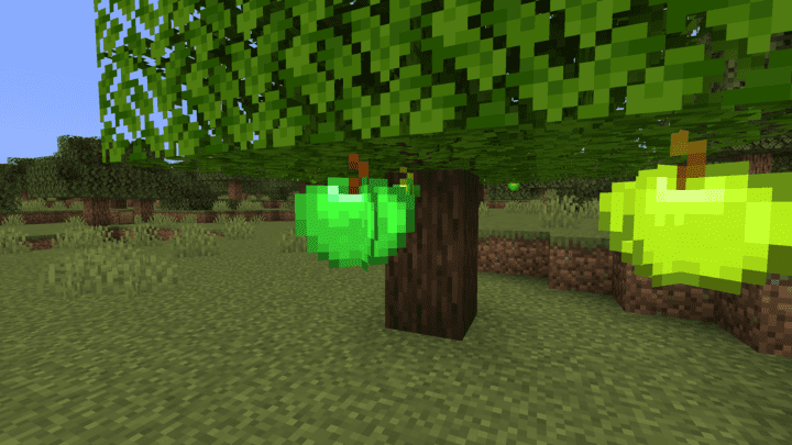 Emerald⁣ Apple Tree