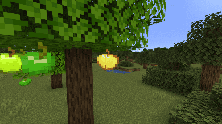Golden​ Apple Tree