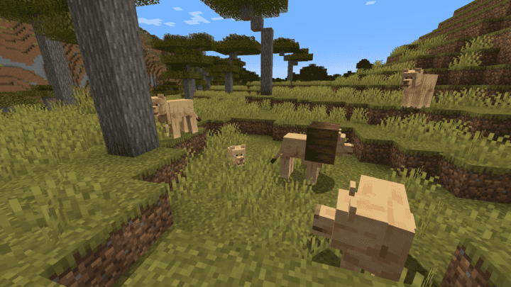 Lions prowling​ the‌ Minecraft savanna