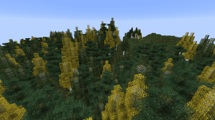 Seasonal Forest Biome