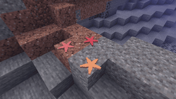 Minecraft starfish from the ‍mod