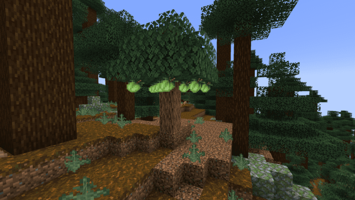 A tree in a ‌jungle biome