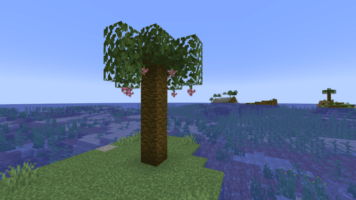 A tree on an island