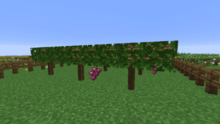 Vineyard in Minecraft